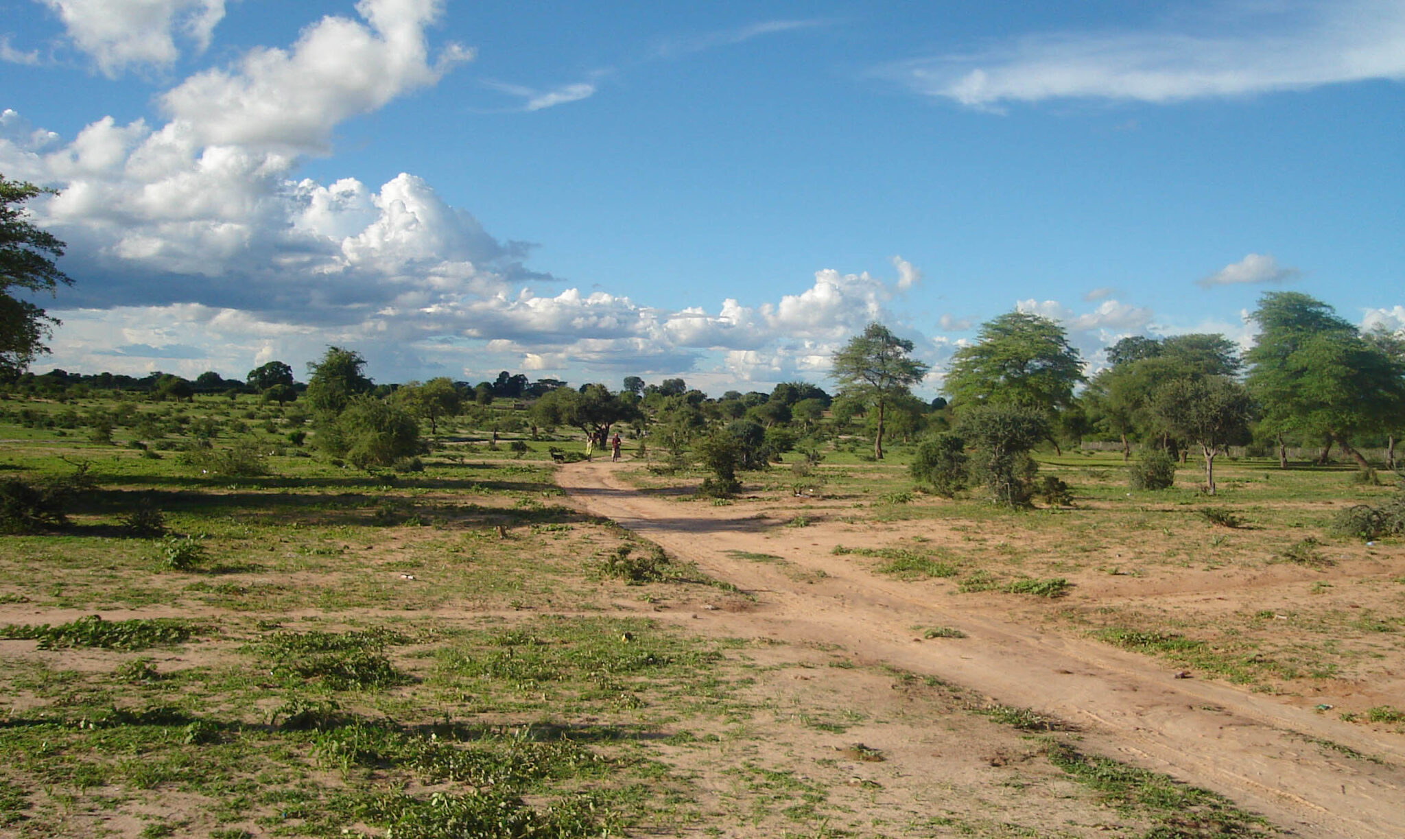 Appunti Africani un viaggio in 24 tappe